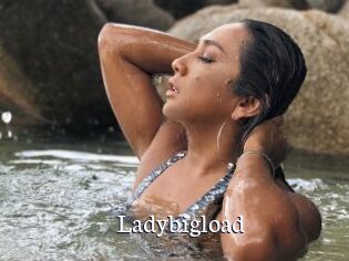 Ladybigload