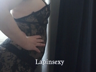 Lapinsexy