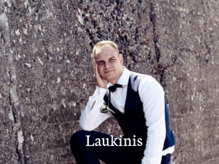 Laukinis