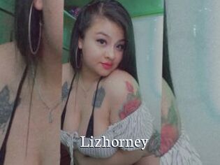 Lizhorney