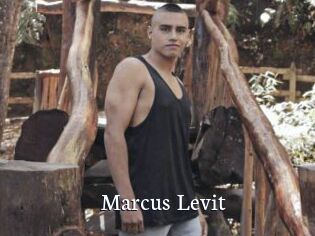 Marcus_Levit