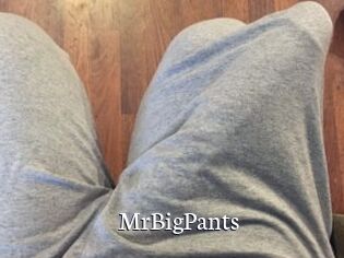 MrBigPants