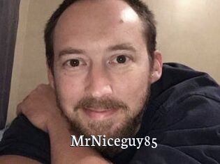 MrNiceguy85