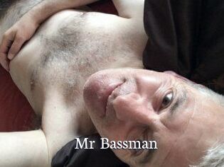 Mr_Bassman