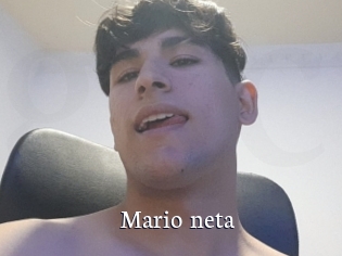 Mario_neta