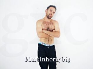 Martinhornybig