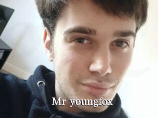 Mr_youngfox