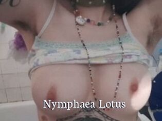 Nymphaea_Lotus