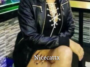 Nicecattx