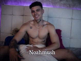 Noahmush