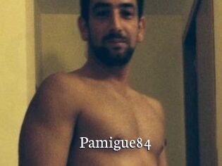 Pamigue84