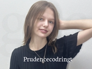 Prudencecodringt