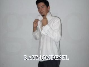 RAYMONDESEL