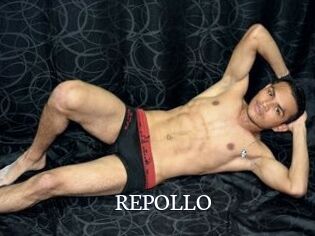 REPOLLO