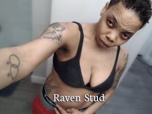 Raven_Stud