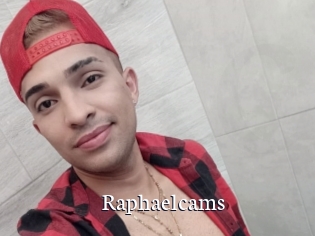 Raphaelcams