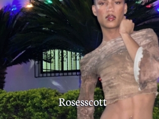 Rosesscott