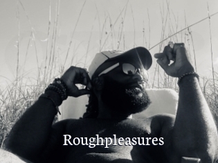 Roughpleasures