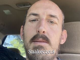 Snakec2018