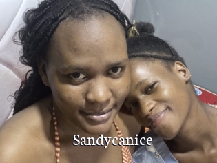 Sandycanice