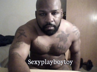 Sexyplayboytoy