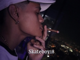 Skateboy18