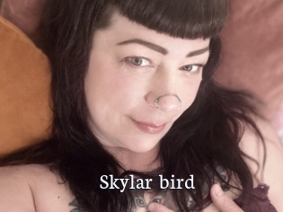 Skylar_bird