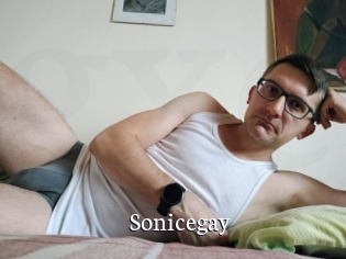 Sonicegay