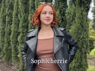 Sophicherrie