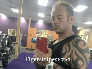 Tigerstripes6767