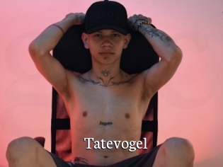 Tatevogel