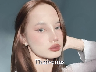 Thaivenus