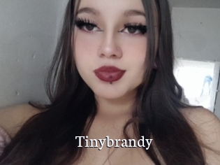 Tinybrandy