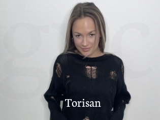 Torisan