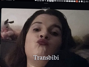 Transbibi