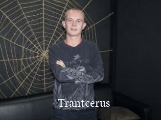 Trantcerus