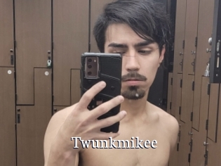 Twunkmikee