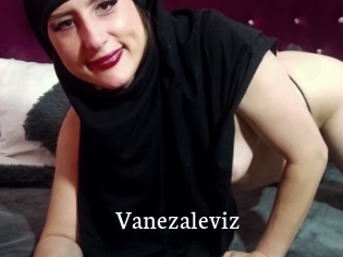 Vanezaleviz