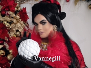 Vannegill