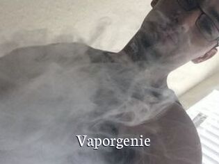 Vapor_genie