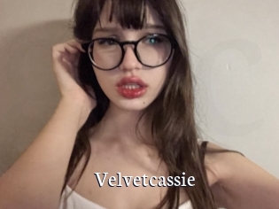 Velvetcassie