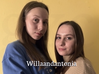 Willaandantonia