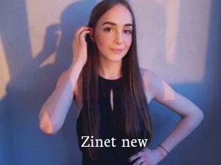 Zinet_new